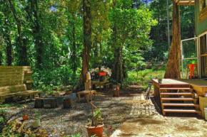 Tiny-home providing an intimate jungle experience